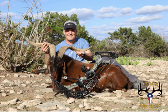 screen shot 2023 09 07 at 2.55.20 pm 540x